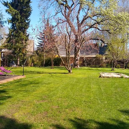 Vila Bleichehof Burg  Exteriér fotografie