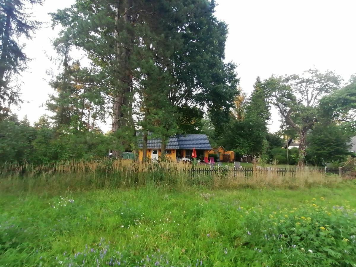 Vila Bleichehof Burg  Exteriér fotografie
