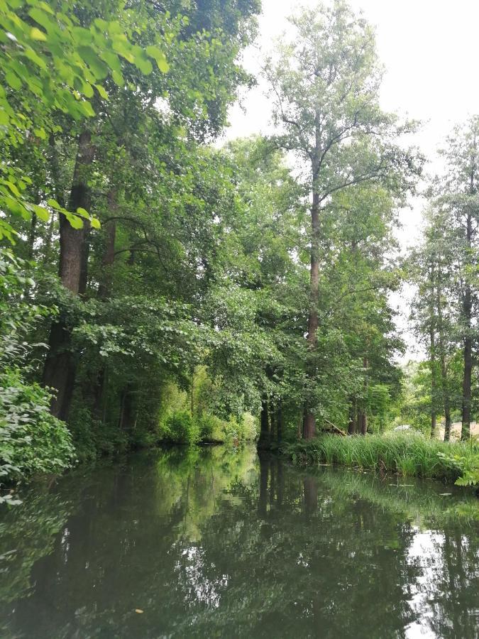 Vila Bleichehof Burg  Exteriér fotografie