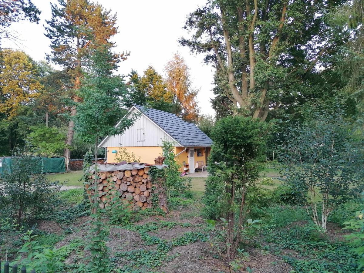 Vila Bleichehof Burg  Exteriér fotografie