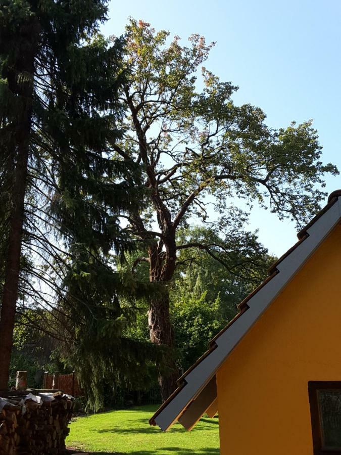Vila Bleichehof Burg  Exteriér fotografie
